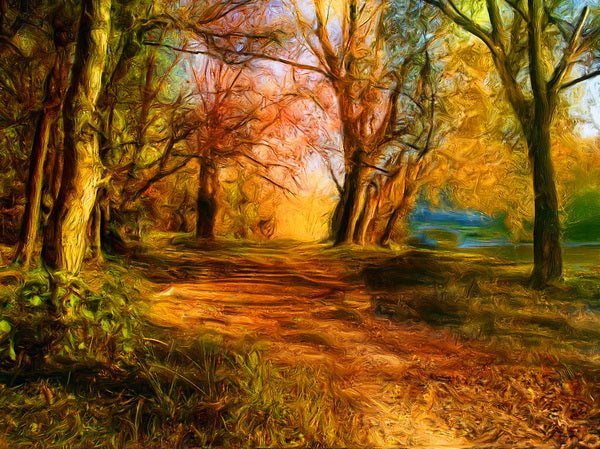 Autumn's Golden Path