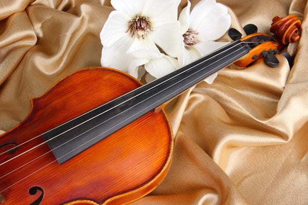 Elegance in Harmony: A Still Life with Violin and Flowers