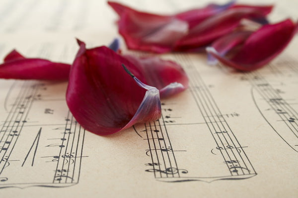 Melody of Petals