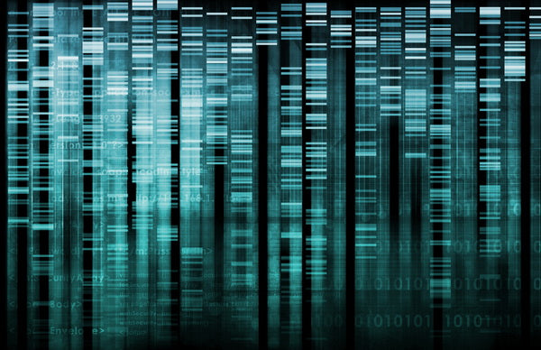 Digital DNA Sequence