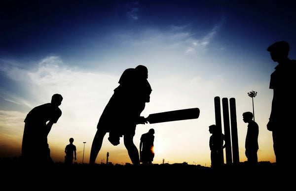 Cricket at Dusk