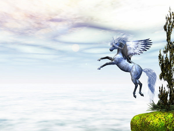 Leap of the Pegasus