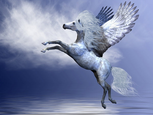 Pegasus in Flight