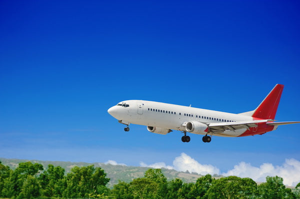 Airplane Preparing to Land Over Green Landscape