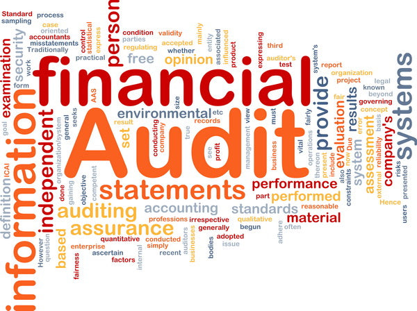 Financial Audit Word Cloud