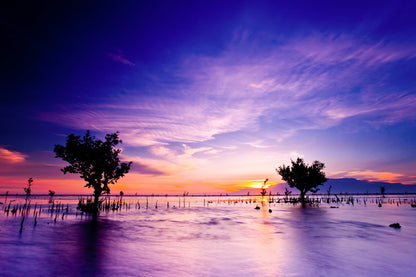 Serene Sunset Over Calm Waters