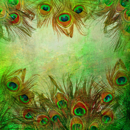 Peacock Feather Frame on Textured Green Background