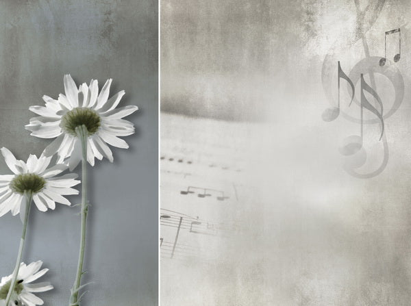 Delicate Daisies with Musical Notes