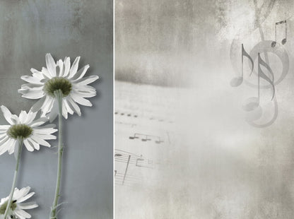 Delicate Daisies with Musical Notes