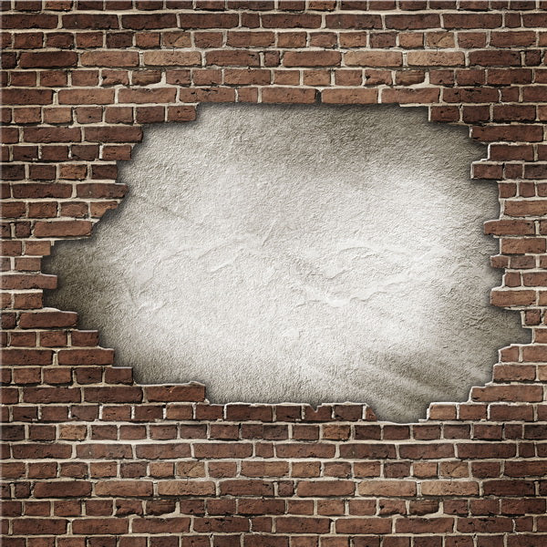 Broken Brick Wall with Exposed Plaster