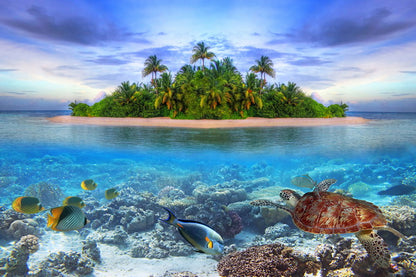 Tropical Island Paradise with Underwater Marine Life