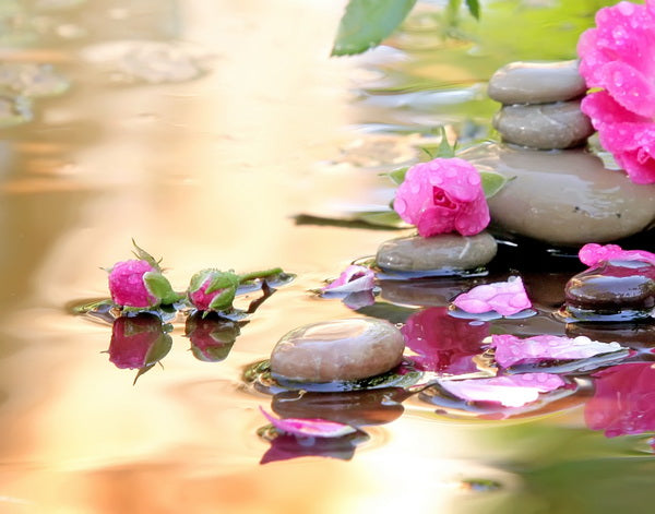 Serenity in Nature – Pink Roses and Zen Stones