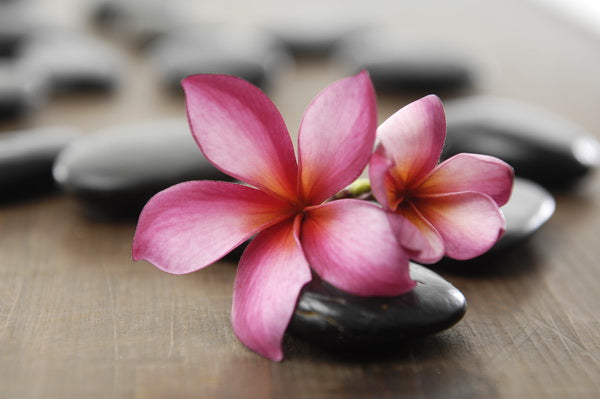 Tranquil Spa Setting with Pink Plumeria and Zen Stones