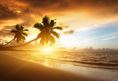 Sunset Paradise with Palm Trees by the Shore