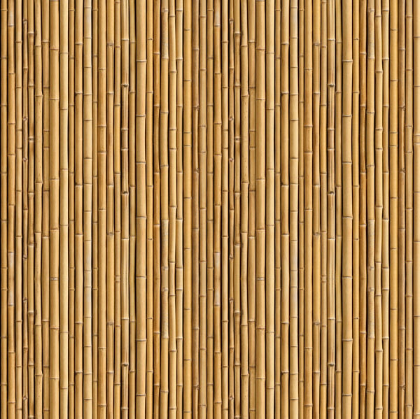 Bamboo Texture Pattern