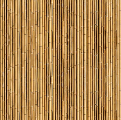 Bamboo Texture Pattern