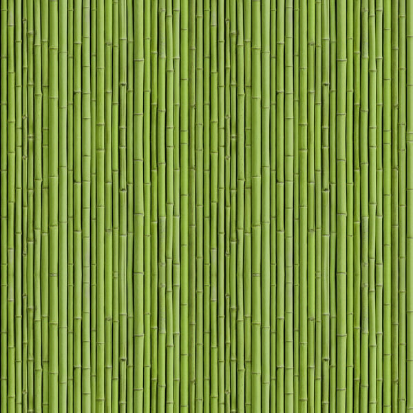 Green Bamboo Texture Pattern