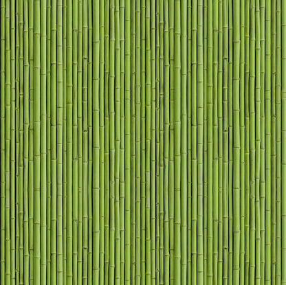 Green Bamboo Texture Pattern