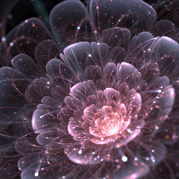 Fractal Bloom of Light