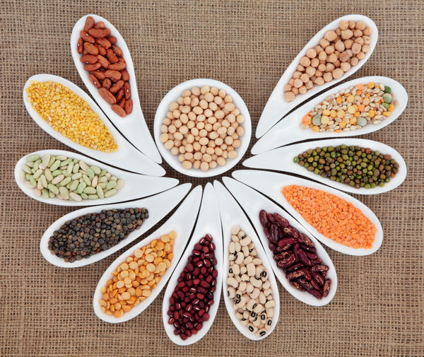 Assorted Legumes in a Flower Arrangement