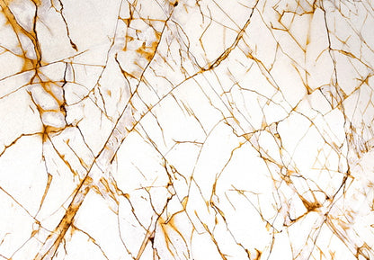 Golden Veined Marble Texture