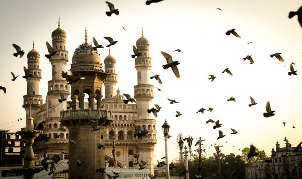 Charminar in Flight: Birds at Dawn