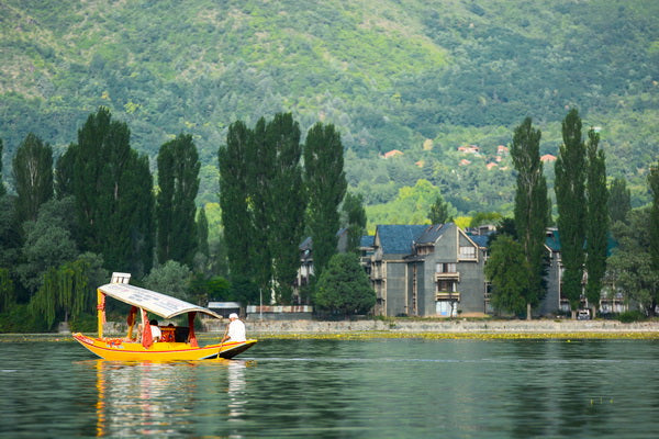 Tranquil Boat Ride