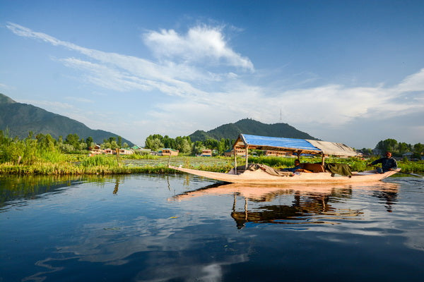 Tranquil Waterside Retreat Mural