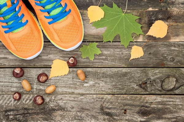 Autumn Walk Adventure Mural