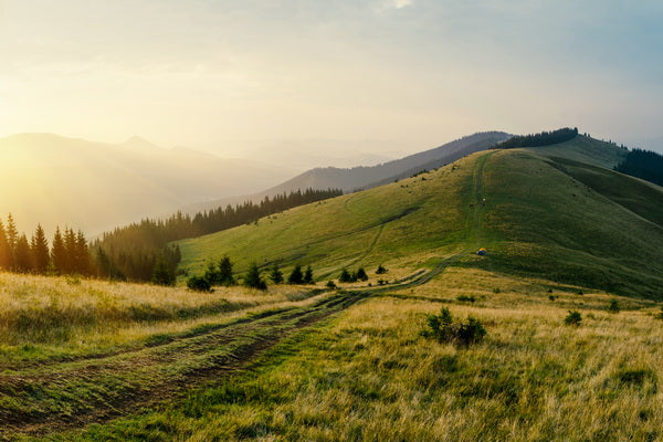 Tranquil Mountain Meadow: Nature-Inspired Living Room Design